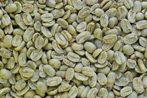 Premium Unroasted Arabica <b>Beans</b> High Elevation Pure Natural Green <b>Coffee</b> <b>Bean</b> Supply Export Grade Green <b>Coffee</b> <b>Bean</b> - Product Image 3