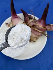 Meilleure vente : Poudre d'amidon d'arrowroot biologique, goût naturel, pour aliments et ingrédients, emballée en sachet, provenant du Vietnam - Product Image 4
