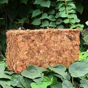 Copeaux de coco biodégradables de qualité supérieure pour horticulture, substrat pour orchidées, mélange de rempotage pour orchidées - Product Image 2