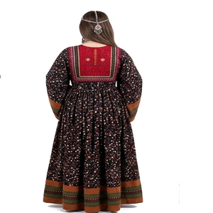 Robe traditionnelle ethnique vintage Kuchi, grande taille, longue jusqu'au sol, manches longues, multicolores, tenue de fête afghane, robes Kuchi afghanes - Product Image 2