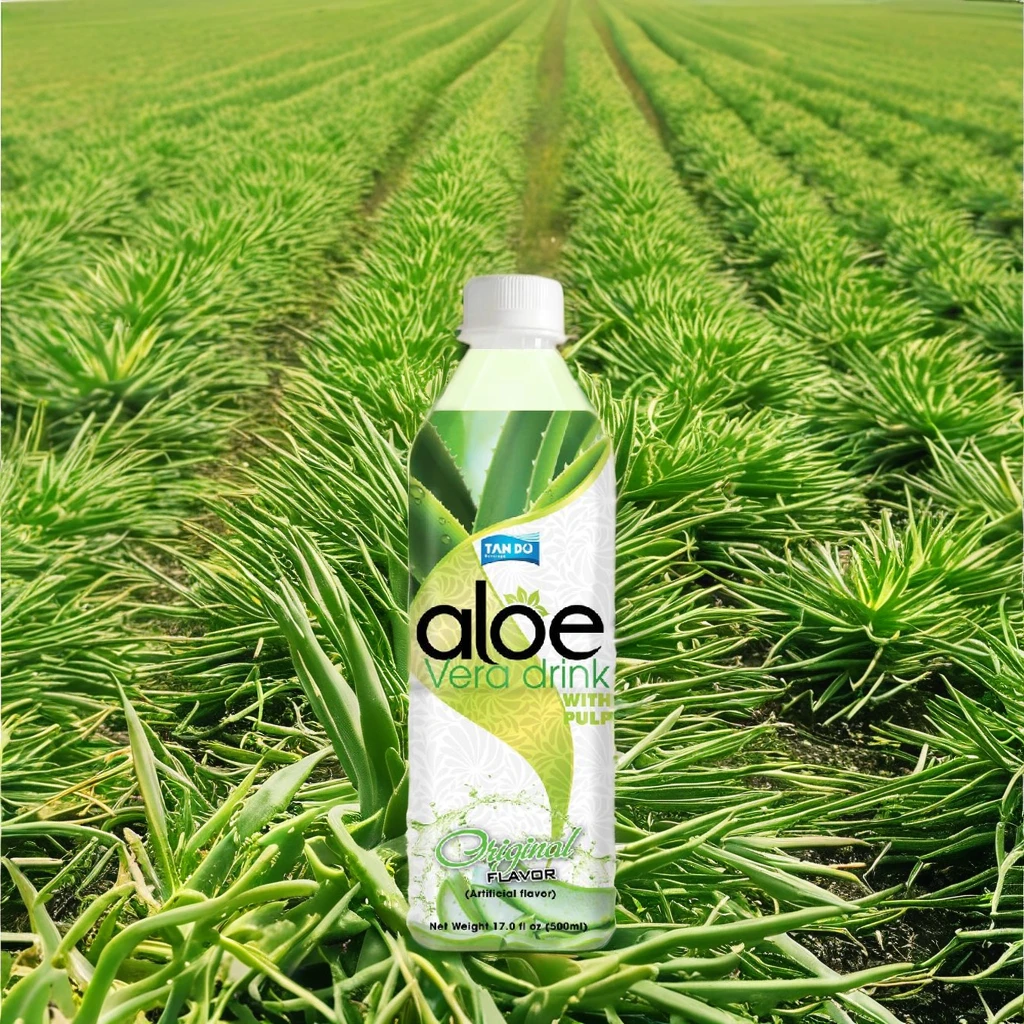 Natural Low-Fat 100% Pure Aloe Vera Beverage with Blueberry Flavor Ready to  Drink 500ml PET Bottle OEM ODM Private Label Juice| Alibaba.com