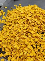 Cantidades Mínimas Bajas, Mejor Precio - Jaca Liofilizada de Vietnam - Fruta Seca Crujiente Natural para Exportación al por Mayor - Sra. Tarina