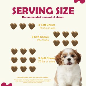 Supplément nutritionnel quotidien à mâcher doux multivitaminé organique de qualité supérieure pour chiens chats chiot soutien immunitaire des articulations OEM ODM privé - Product Image 5