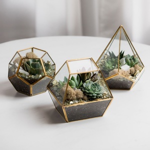 Terrario de Vidrio Irregular Hecho a Mano con Diseño Moderno, Recipiente Geométrico Dorado para Plantas Aéreas, Decoración del Hogar - Product Image 1