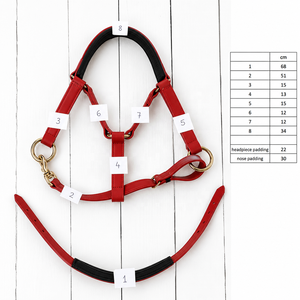 Harnais d'endurance pour cheval avec logo personnalisé, rembourré confortablement, imperméable en PVC, style selle anglaise, ferrures en laiton massif, personnalisable - Product Image 2
