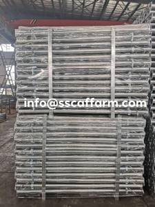 Andamios de construcción ajustables de diseño europeo, Gato pregalvanizado de acero con gatos Acrow Props - Product Image 6