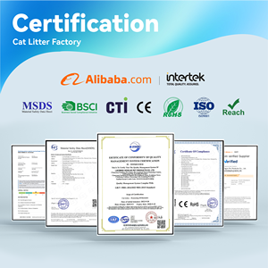 Litière pour <span class=keywords><strong>chat</strong></span> en bentonite sans poussière BSCI 10 litres 25l Lavande Agglomérante Naturelle à base de Sodium - Product Image 4