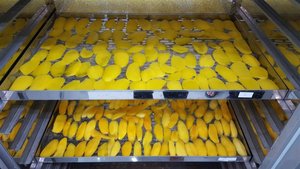 ค้นพบความหวานอันเป็นธรรมชาติของมะม่วงอบแห้งออร์แกนิกน้ำตาลต่ำ - Product Image 6