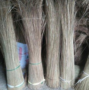 Bâtons de balai en coco du Vietnam de qualité supérieure pour la fabrication de balais à haute durabilité - Product Image 5