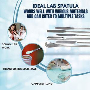 6 Espátulas de Laboratorio Multifuncionales de Acero Inoxidable, Cucharas de Muestreo de Doble Extremo de 9 Pulgadas de Largo, Utilizadas para Laboratorio - Product Image 5
