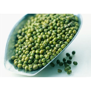 Proveedor mundial de frijoles mung verdes para supermercados, procesadores de alimentos, productores de brotes y empresas de alimentos saludables - Product Image 2