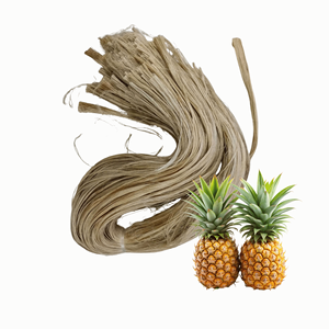 Qualité Supérieure Grande Vente Meilleure Vente Fibre de Feuille d'Ananas Naturelle du Vietnam Emballée en Sac de 2 kg - Product Image 1