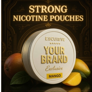 Sachets Orales de Energía OEM, Estilo Snus, Sabor Refrescante, Fabricante Mayorista - Product Image 3