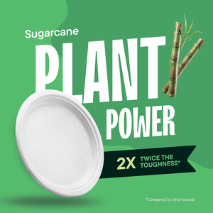 Assiettes jetables en bagasse de 10 pouces, robustes, imperméables, de qualité alimentaire, 100% compostables, écologiques, certifiées BPI, pour nouilles - Product Image 6