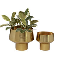 Ensemble de 2 vases en fer MDI, élégants, luxueux, modernes, classiques, uniques, attrayants, plaqués or, pour plantes, vases de sol, décoration de mariage et de maison