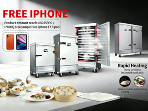 Armoire de cuisson vapeur industrielle à double porte, 24 plateaux, grande capacité, à <span class=keywords><strong>gaz</strong></span>, pour riz, directement de l'usine, pour hôtels en Asie du Sud-Est - Product Image 2