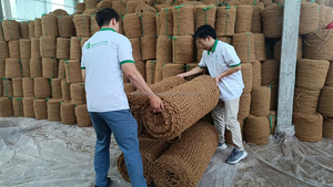 Premium Quality Coconut Coir <b>Net</b> Vietnam Biodegradable Fiber Mat for Slope Revegetation Projects - Product Image 6