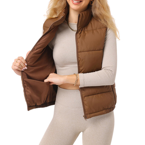 New Designs Women Sleeveless Solid Color Hooded Puffer Vest Zipper Casual Regular Length Puffer Waistcoat Cotton Bubble <b>Jacket</b> - Product Image 3