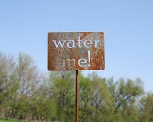 Piquet de jardin en acier galvanisé Water Me Garden Sign, style simple, pour l'extérieur - Product Image 1