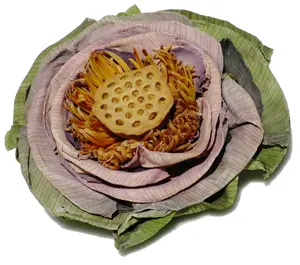 EN STOCK – Fleurs de lotus séchées 2026 de haute qualité pour infusion de thé et décoration élégante de la maison – Ingrédient végétal pur en vrac - Product Image 2