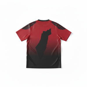 Camiseta de fútbol de Palestina en colores tradicionales, diseño personalizado, uniforme de fútbol sublimado para hombres y niños - Product Image 2
