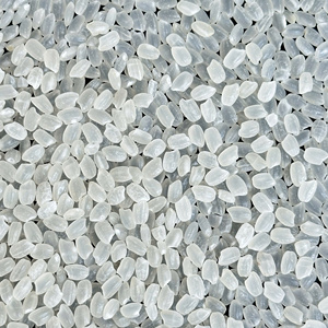 Riz japonica premium / Riz à grains courts et ronds DS1 du Vietnam - WA84356084695 - Product Image 1