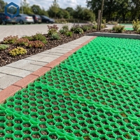 Pavés de gazon perméables de haute qualité pour le drainage, excellents pour les parkings et les jardins en Tanzanie