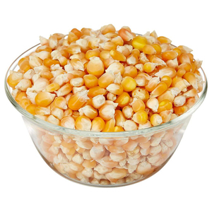 Venta al por Mayor de Maíz Blanco/Amarillo a Granel - Product Image 1