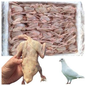 Export Quality Frozen Pigeon Premium Grade Pigeon <b>Meat</b> for Wholesale Buyers - Product Image 5