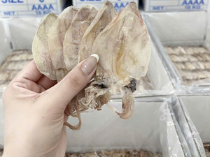 Qualité Fiable, Sécuritaire et Écologique : Calamar Séché Pur, Fruits de Mer de l'Océan, Idéal pour les Collations Quotidiennes et la Préparation de Soupes, Prix Direct - Product Image 5