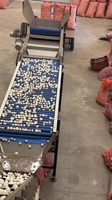 Automatisch inspectiebandtransporteersysteem van roestvrij staal voor voedselverwerking, geschikt voor het sorteren van kwaliteit in groenteverwerkingsmachines