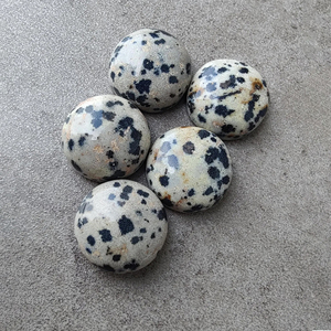 Jaspe Dalmatien Naturel, Cabochon Rond à Dos Plat, Pierre Précieuse Calibrée en Vrac, Toutes Tailles Disponibles - Product Image 5