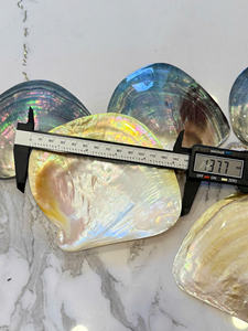 PLAT EN COQUILLE DE PERLE DE QUALITÉ SUPÉRIEURE |   DIFFÉRENTES TAILLES 15-30CM |   PRIX D'USINE BRILLANT NATUREL EFFET ARC-EN-CIEL - Product Image 6