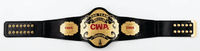 Ceinture de champion de ligue de football fantastique de luxe, trophée personnalisé pour le vainqueur, grand prix, plaques en métal lourd, sangle en cuir souple