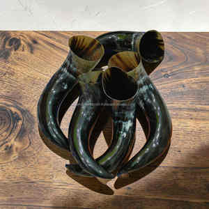 Cuernos de Vidrio Hechos a Mano para Beber, Estilo Vintage, Forma Curva, Regalo para Ocasiones Especiales a Precio Económico - Product Image 5