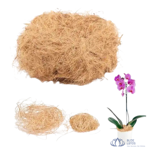 [MEJOR VENDIDO] |   Fibra de Coco Comprimida, Relleno para Colchones de Coco, Material a Granel para Fabricación de Cuerdas, Vietnam - Product Image 1