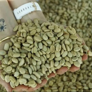 Vietnam USDA Organic Arabica Green Coffee <b>Beans</b> Size 16 Low Defect 0.1% 100% Nature TNFOOD Brand AA+ Grade 1000kg Factory Bulk - Product Image 1