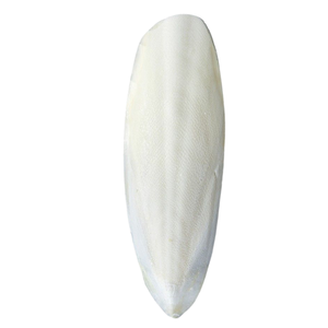 BEST-SELLER Os de Seiche Bleu Lotus Bio Pur Naturel Écologique Calcium 1,0 kg pour Perroquets et Oiseaux avec Absorption Sûre et Rapide - Product Image 1