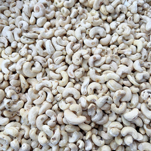 Offre Spéciale : Noix de cajou brutes comestibles WW180 WW240, qualité supérieure, séchées, 2 tonnes, prix raisonnable - Product Image 1