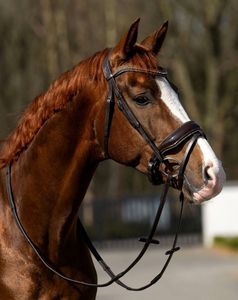 Fancy Crystal Browband English Leather Bridle with Patent Noseband Adjustable High Quality Comfortable for Horse Riding - Product Image 1