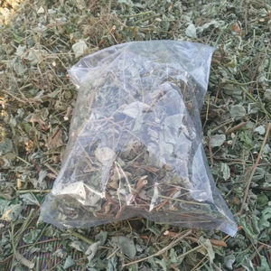 Fournisseur de feuilles d'Urena Lobata séchées du Vietnam, feuilles de Caesarweed séchées naturelles coupées de haute qualité ANGLE - Product Image 1