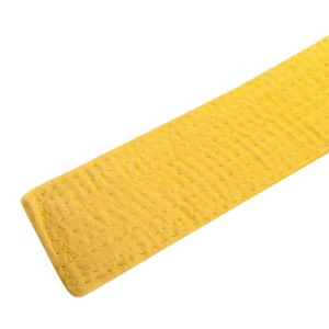 Ceinture unisexe en coton de haute qualité pour le karaté/le taekwondo/les arts martiaux, logo brodé personnalisé, équipement de combat unique - Product Image 4