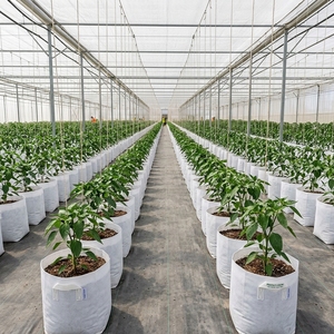 Sac de culture hydroponique réutilisable en plastique pour légumes et fleurs, prêt à l'emploi toute l'année en Inde - Product Image 5