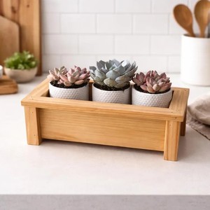 Maceta de madera minimalista natural para plantas pequeñas de interior, para escritorio y mesa, maceta de interior de Vietnam B2B - Product Image 4