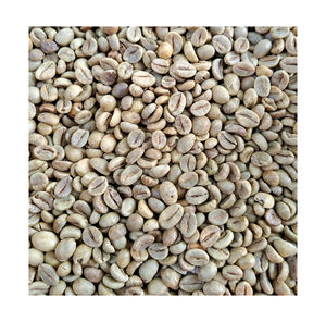 [High Quality] Green <b>Coffee</b> <b>Beans</b> Robusta / Arabica - <b>Raw</b> <b>Coffee</b> <b>Beans</b> New Crop 24-25 Export Standard - Product Image 2
