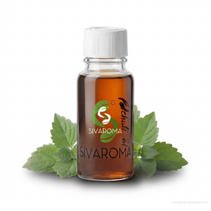 Premium Quality <b>Patchouli</b> Oil for Fragrance Applications, Perfume Manufacturing, Cosmetic Products, Personal Care Brands, B2B - Product Image 4