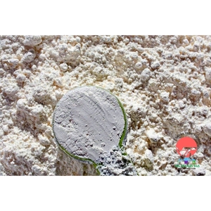 Nhat Thang VNT 7 CaCO3 Carbonate de Calcium Pureté 98% Qualité Industrielle 25 Microns D97 Poudre Blanche Enduite pour Câbles Plastiques - Product Image 4