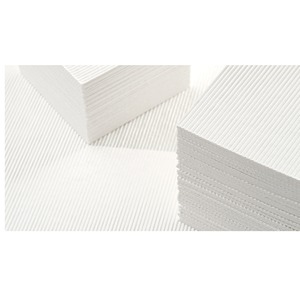 Pulpa de Madera Blanda Blanqueada de Alta Pureza para Aplicaciones de Impresión, Escritura y Embalaje de Papel - Product Image 1