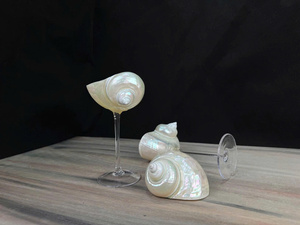 แก้วไวน์เปลือกหอยธรรมชาติทำมือ แก้วไวน์เปลือกหอย ที่ใส่เครื่องประดับเปลือกหอย ของขวัญเพื่อนเจ้าสาว แก้วสำหรับงานปาร์ตี้ริมชายหาด - Product Image 6