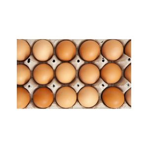 Venta Directa de Granja en los Países Bajos de Huevos de Gallina Orgánicos Marrones / Huevos de Pollo de Engorde en Venta / Proveedor de Huevos de Gallina de Granja - Product Image 6